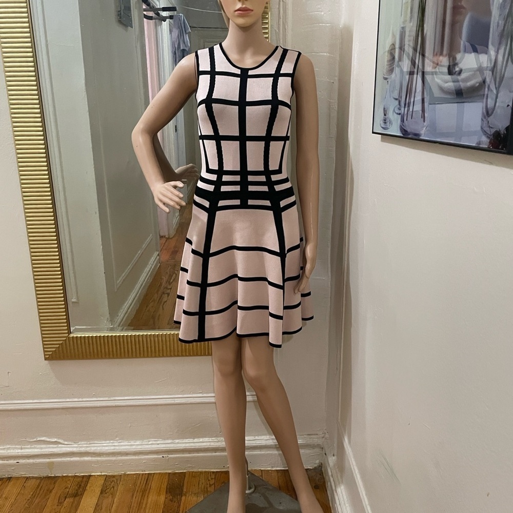 Torn by Ronny Kobo Black and Cream Mini Dress - Picture 12 of 12